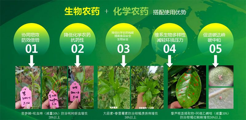 新朝陽(yáng)在第六屆中國(guó)農(nóng)藥行業(yè)市場(chǎng)和銷售高峰論壇做“生物農(nóng)藥+化學(xué)農(nóng)藥，引領(lǐng)植保市場(chǎng)未來(lái)”主題報(bào)告