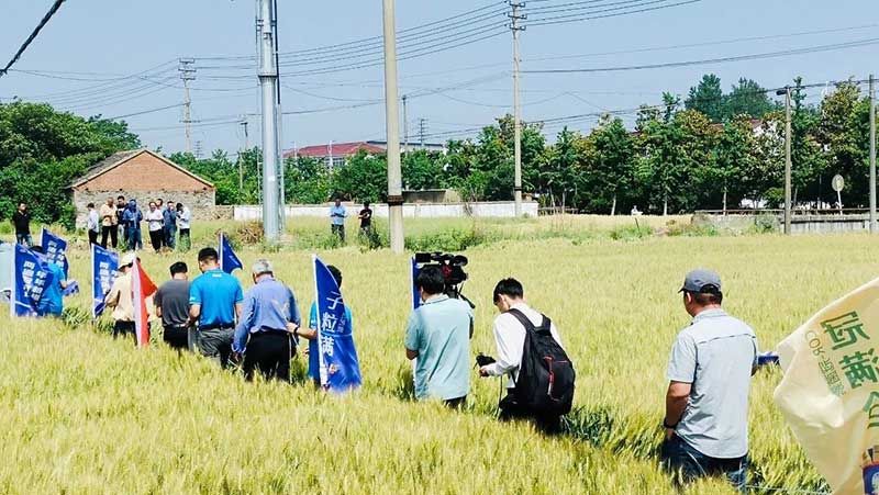 520健康植保日——擁抱綠色農(nóng)業(yè)，我們在行動