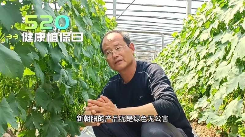 520健康植保日——擁抱綠色農(nóng)業(yè)，我們在行動